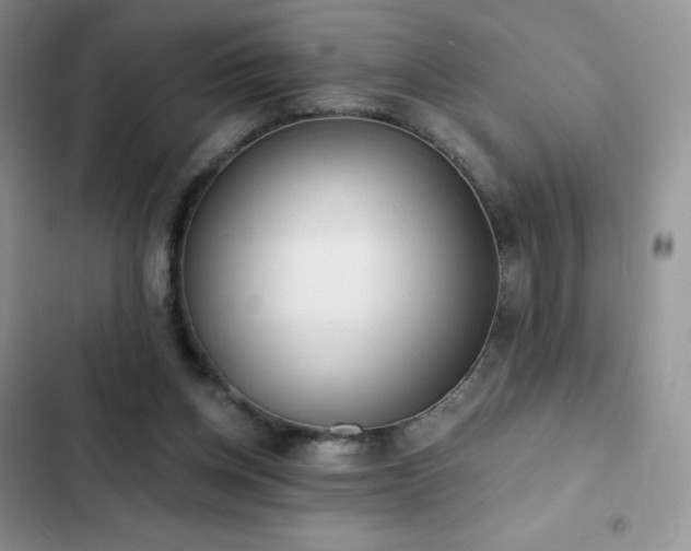 X0000102870158200808181514