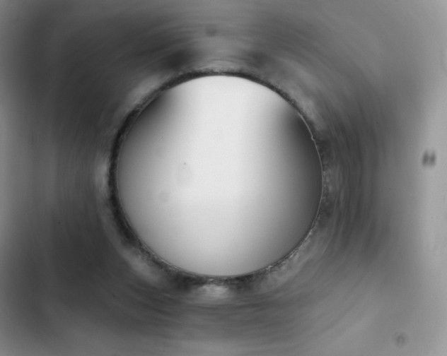 X0000102870159200808181514