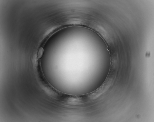 X0000102870160200808181514