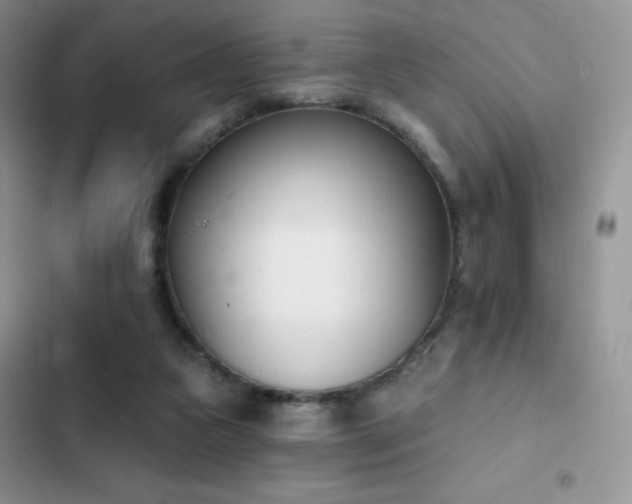 X0000102870161200808181514