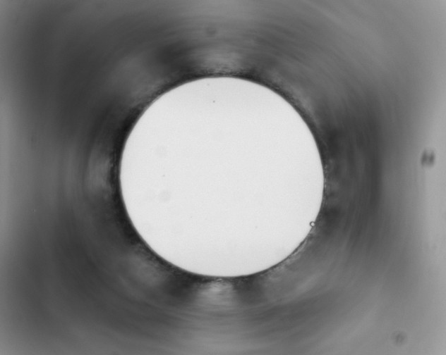 X0000102870162200808181514