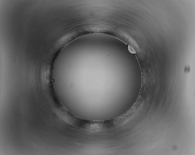 X0000102870163200808181514