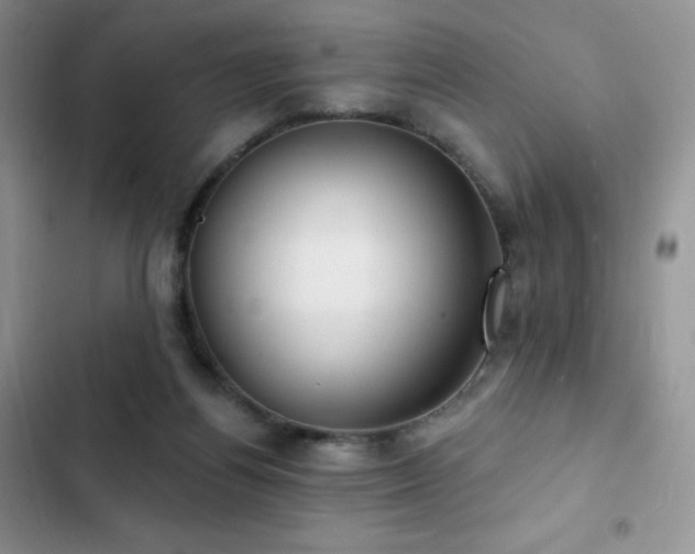 X0000102870164200808181514