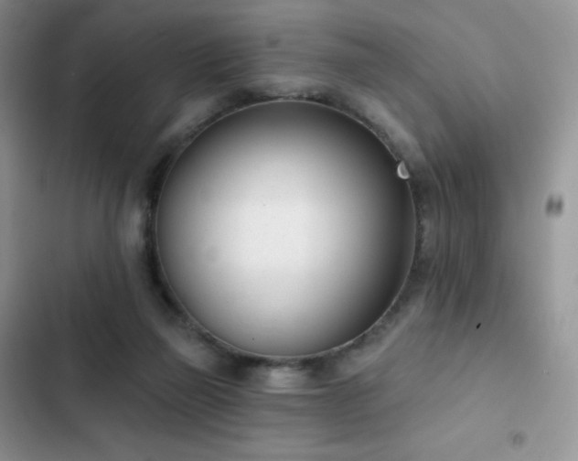 X0000102870165200808181514