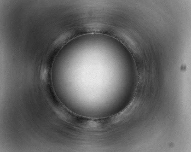 X0000102870166200808181514
