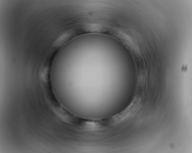 X0000102870167200808181514