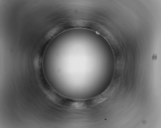 X0000102870168200808181514