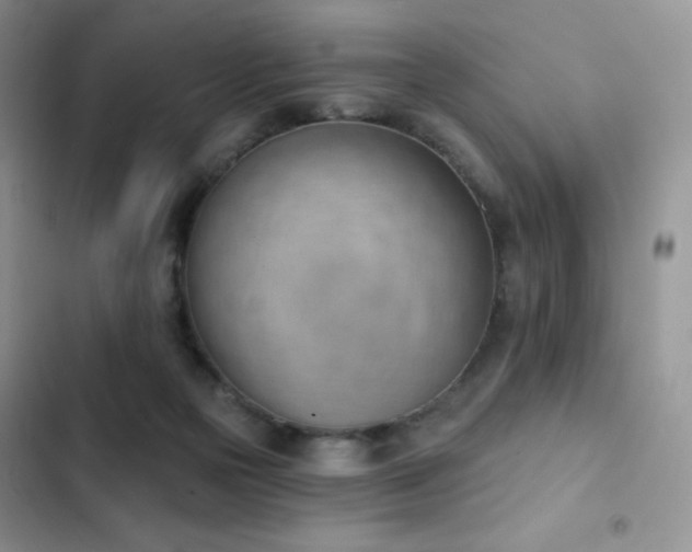X0000102870169200808181514