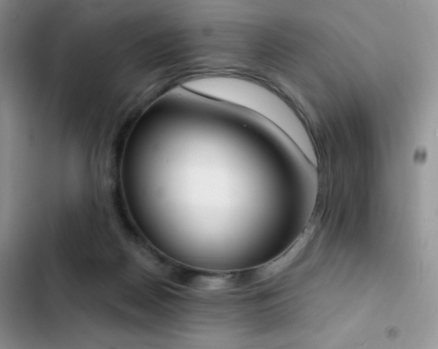 X0000102870170200808181514