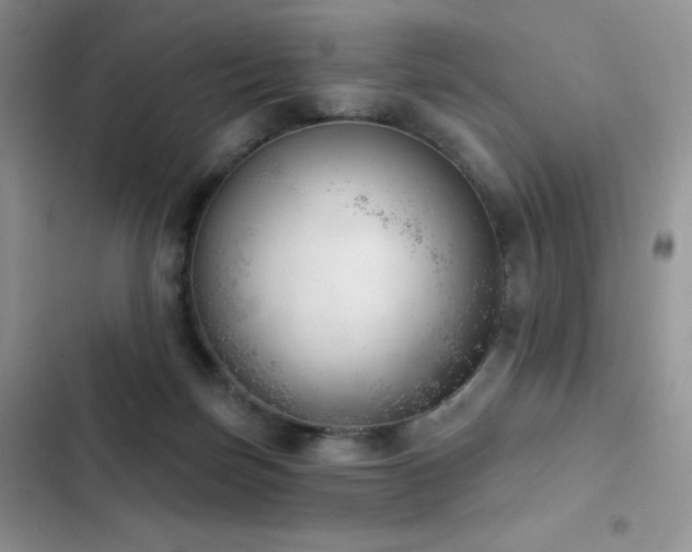 X0000102870171200808181514