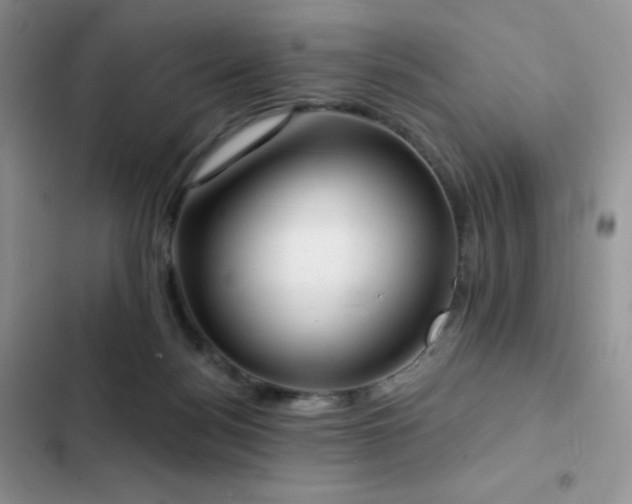 X0000102870172200808181514