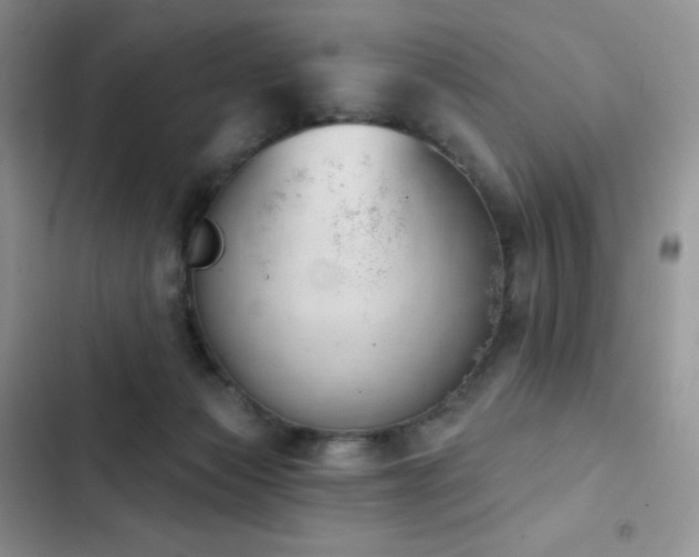 X0000102870173200808181514