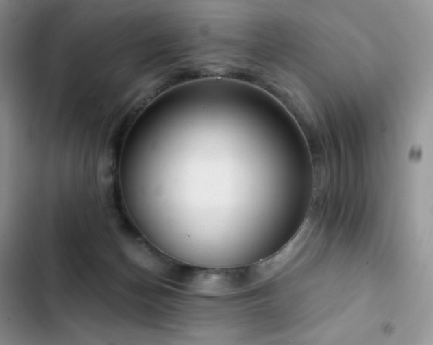 X0000102870174200808181514