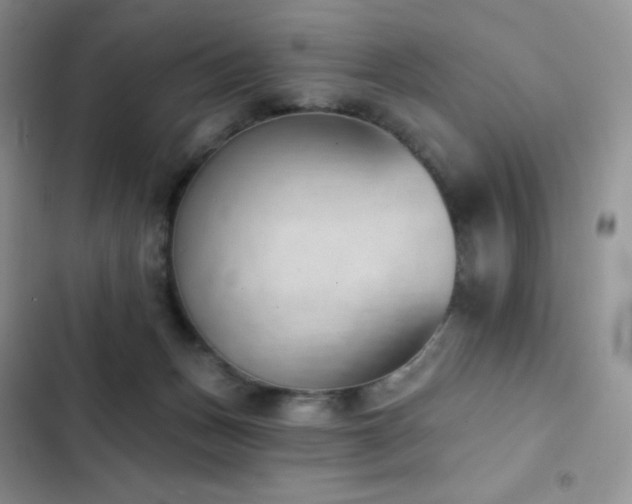 X0000102870175200808181514