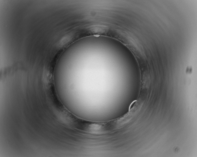 X0000102870176200808181514