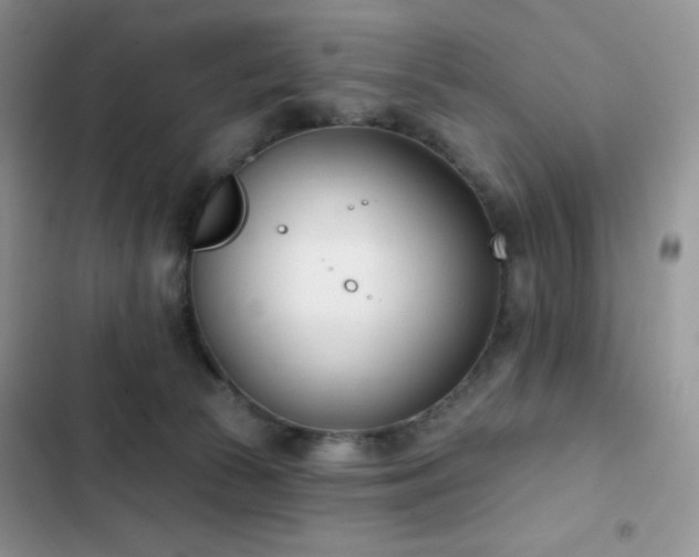 X0000102870177200808181514