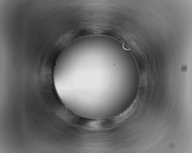 X0000102870178200808181514