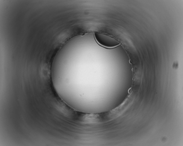 X0000102870179200808181514