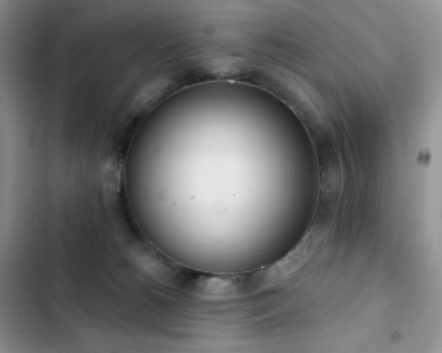 X0000102870180200808181514