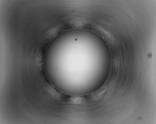 X0000102870181200808181514