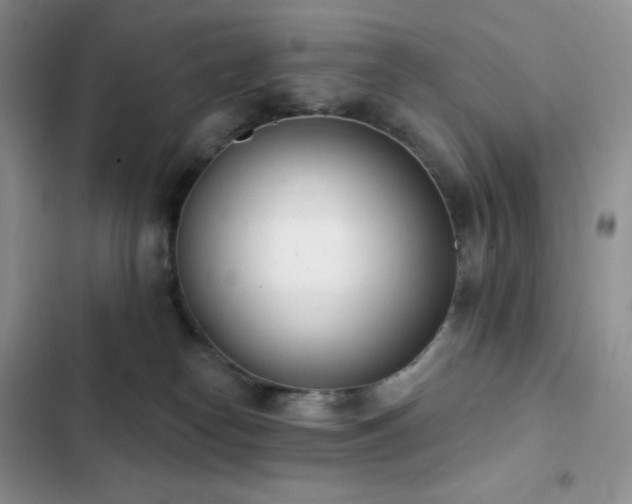 X0000102870182200808181514