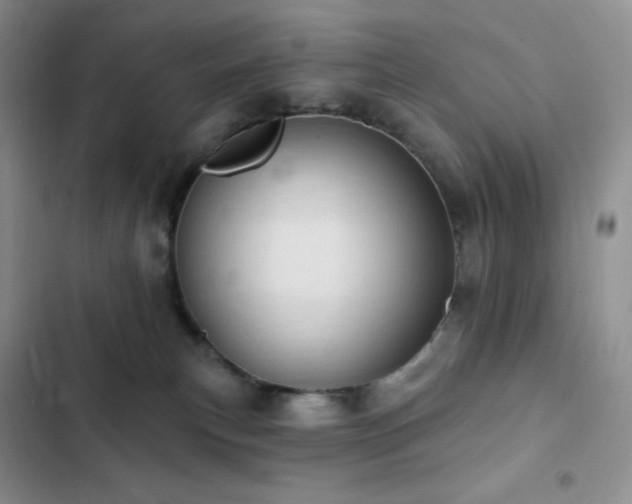 X0000102870183200808181514