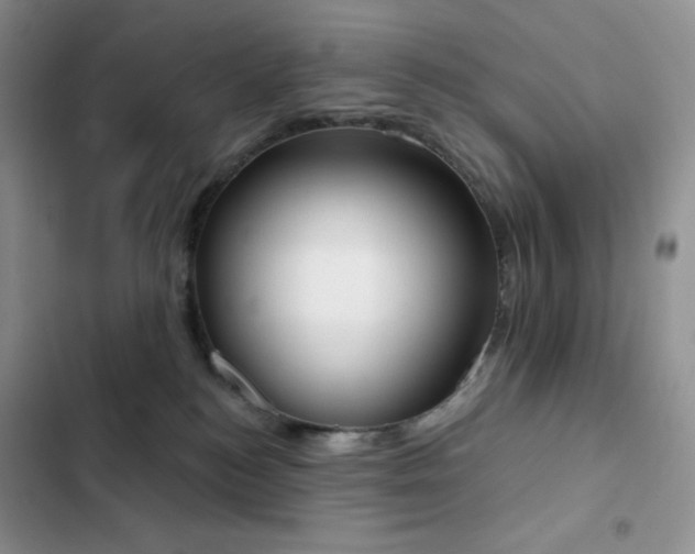X0000102870184200808181514