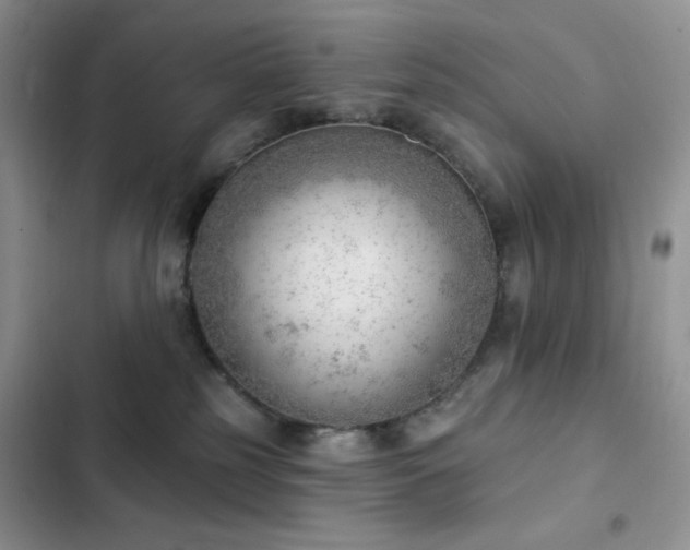 X0000102870185200808181514