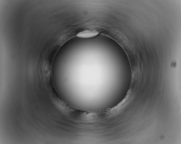 X0000102870186200808181514