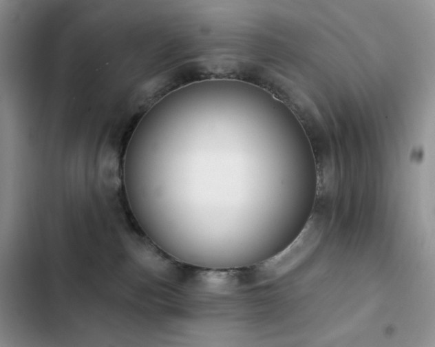 X0000102870187200808181514