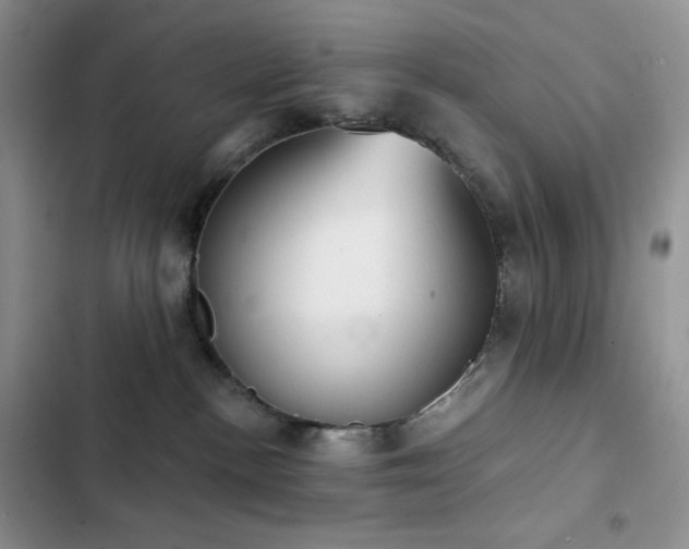 X0000102870188200808181514