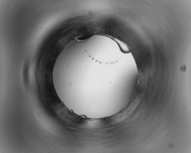 X0000102870189200808181515