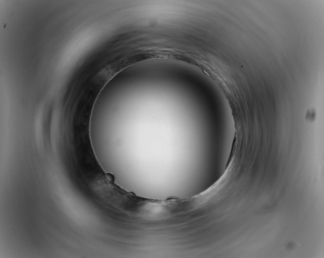 X0000102870190200808181515