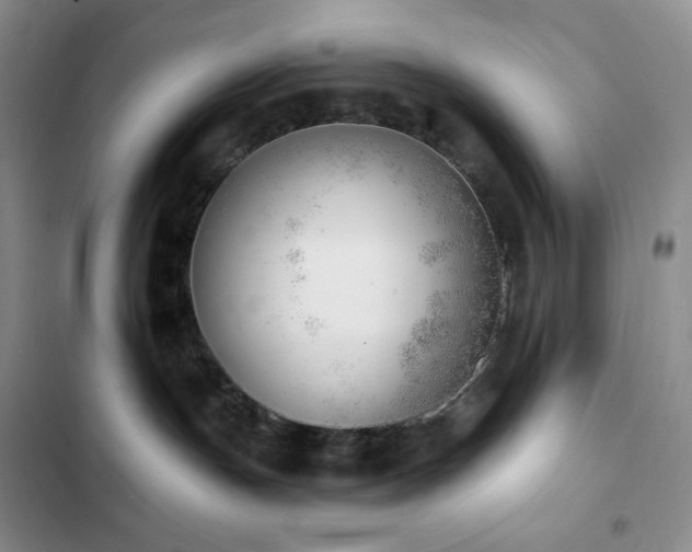 X0000102870191200808181515