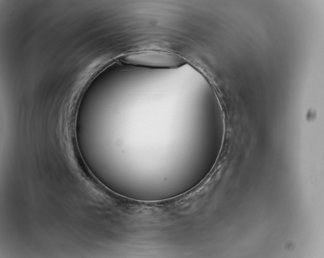 X0000102870193200808181514