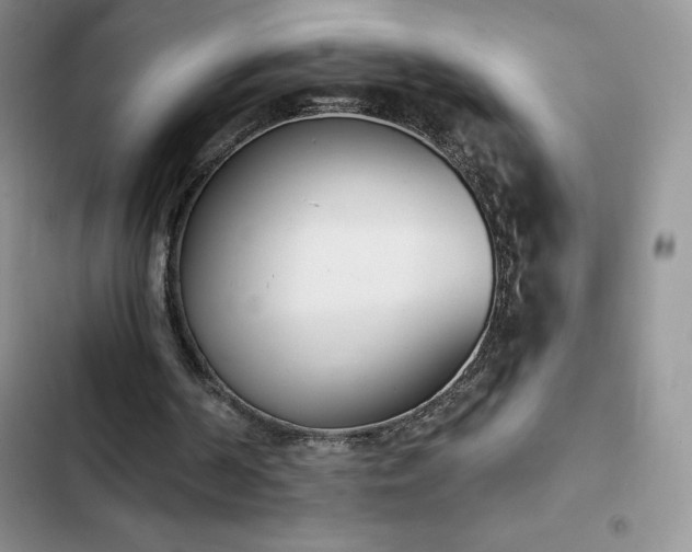 X0000102870194200808181514