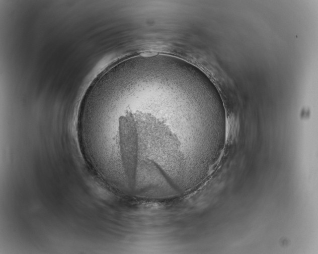 X0000102870195200808181514