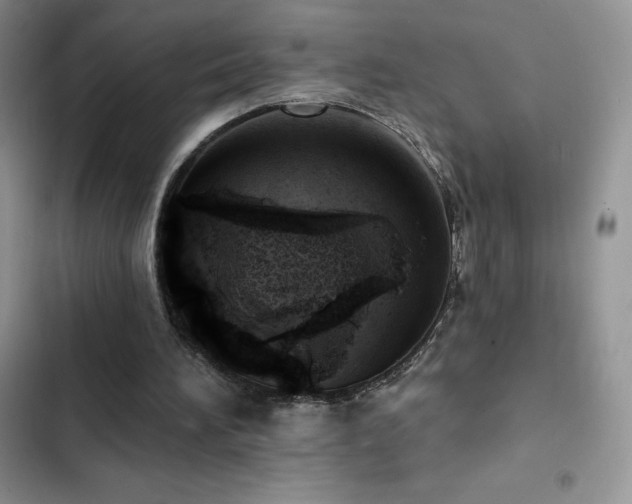 X0000102870196200808181514