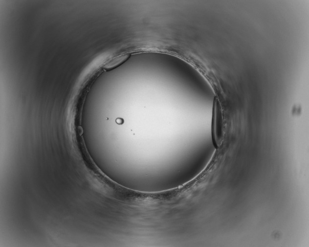 X0000102870197200808181514