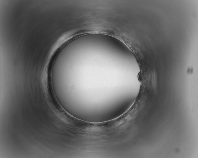 X0000102870198200808181514