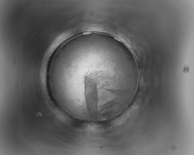 X0000102870199200808181514
