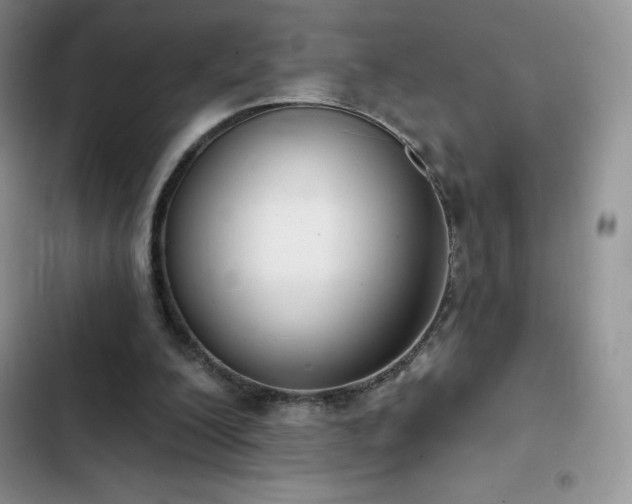 X0000102870200200808181514