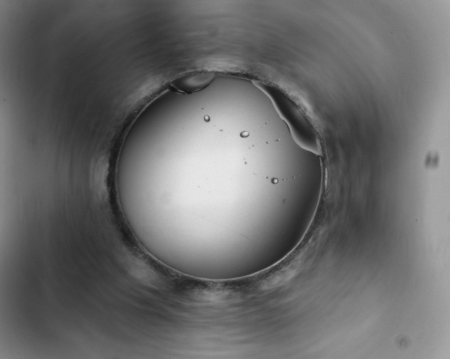 X0000102870201200808181514