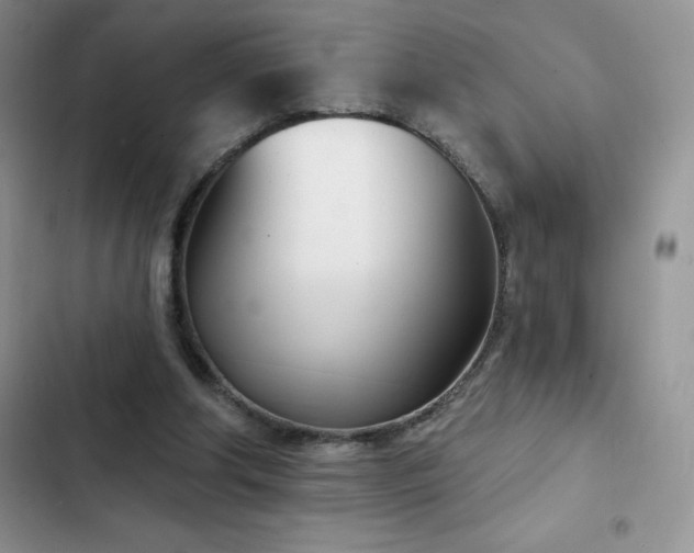 X0000102870202200808181514