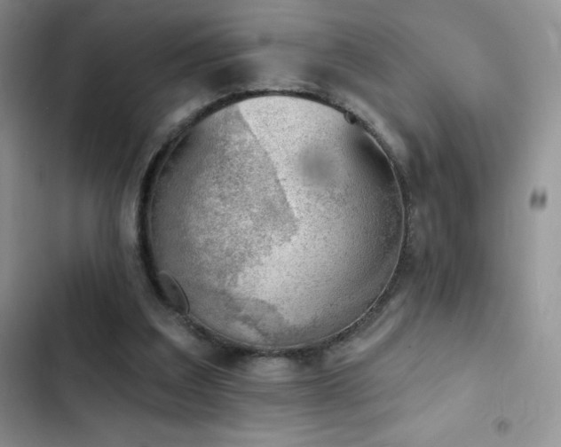 X0000102870203200808181514