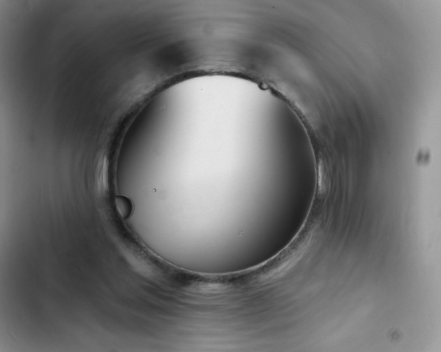 X0000102870205200808181514