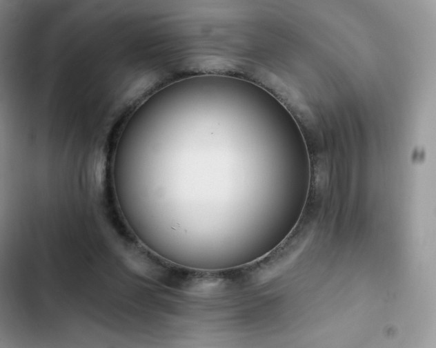 X0000102870206200808181514