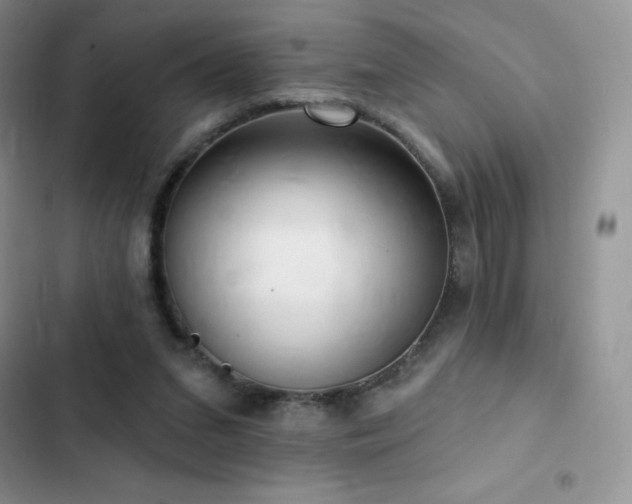X0000102870207200808181514