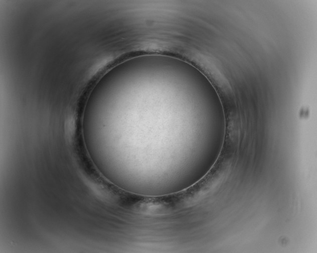 X0000102870208200808181514