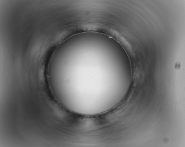 X0000102870209200808181514